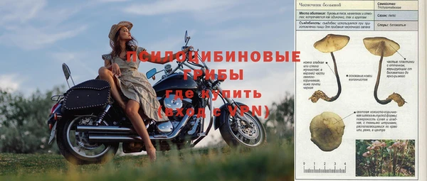 амф Балахна